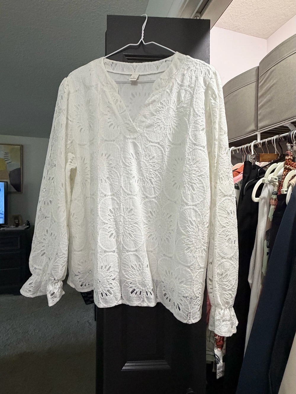 Women's White Lace V-Neck Long Sleeve Top